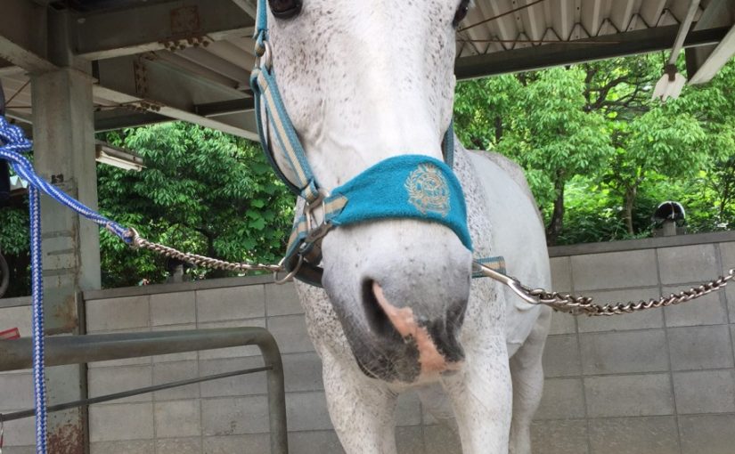 お誕生日おめでとう！！