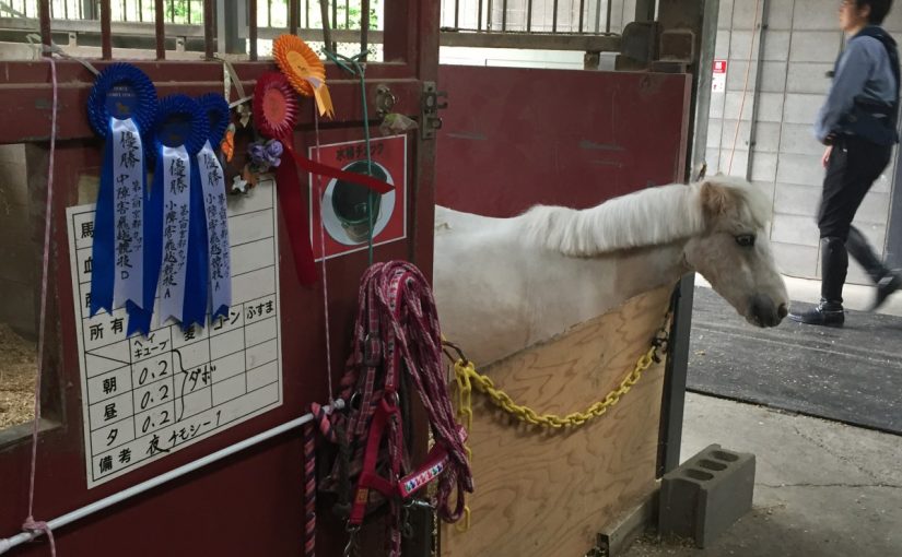 お主一体何者？！