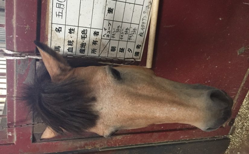 前髪さっぱり✨