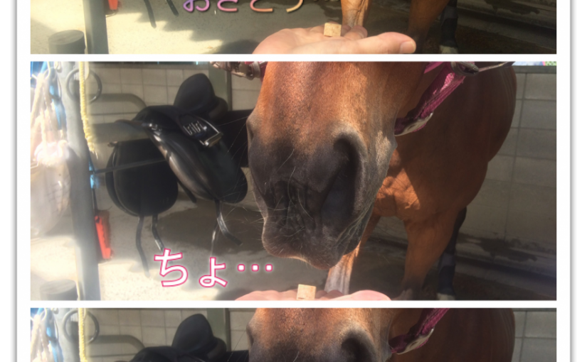 おさとうください