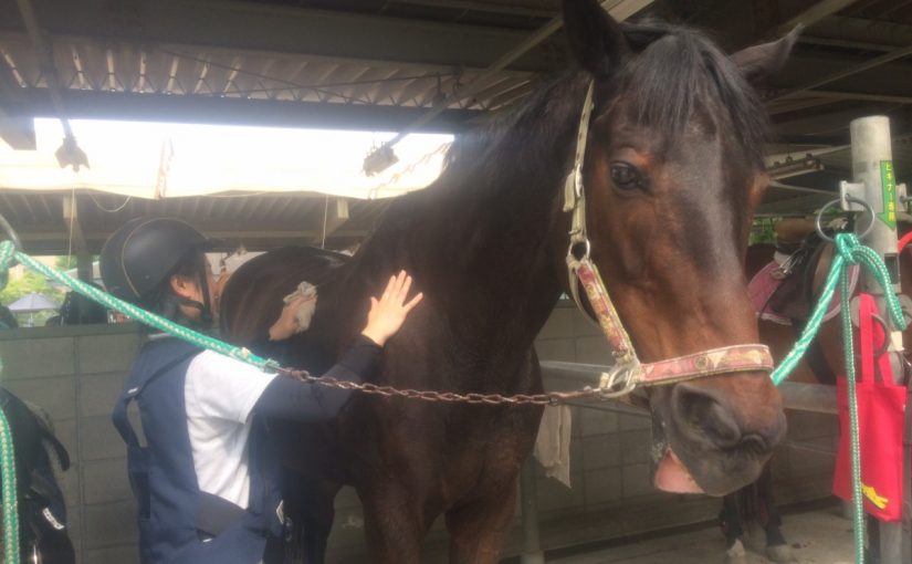 スマイルのスマイル♪