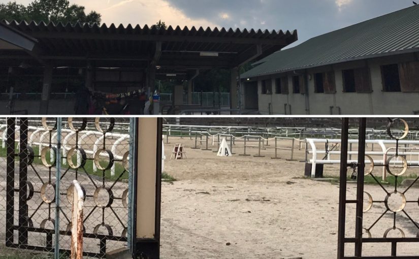 A9FD69C5-A6BA-47F5-A36F-31B823AACC5A