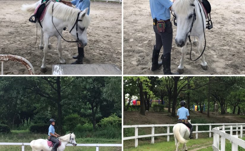 馴致中。。。🐴