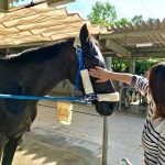 あっつい…🐴☀️💧