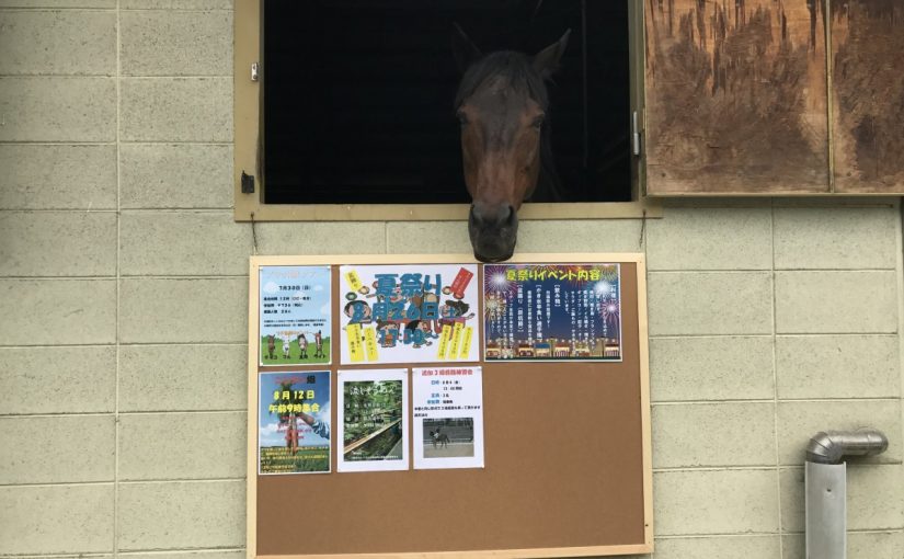 こんなところに🐴