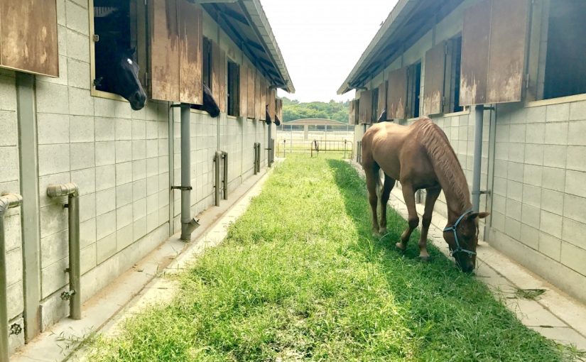 ゆっくり流れる時間⏳