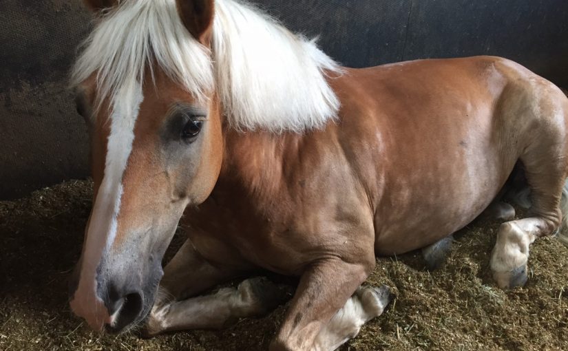 珍しい気がして・・・