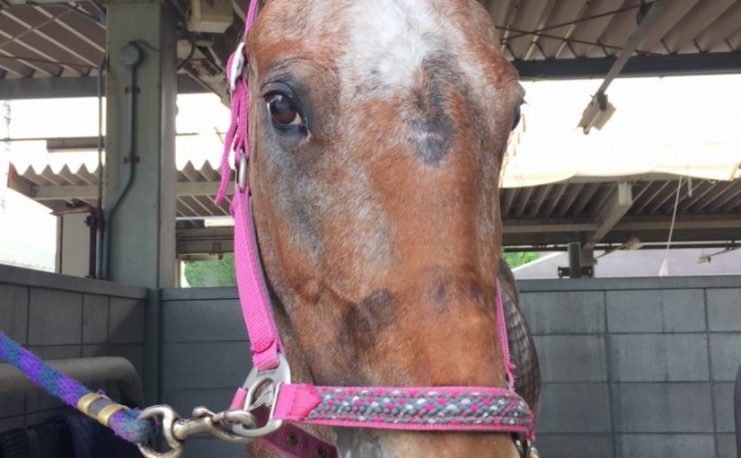 眉毛がはえた？！