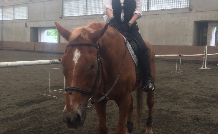 もっと乗りたくなる不思議