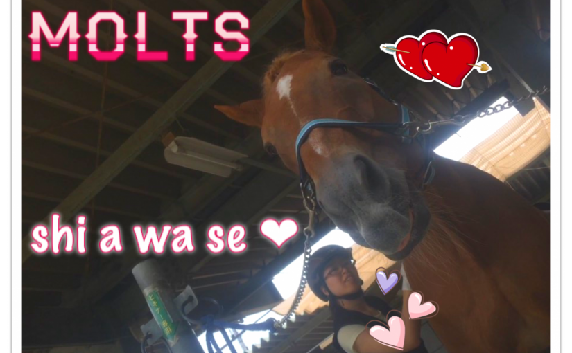 ブラッシング大好き♪