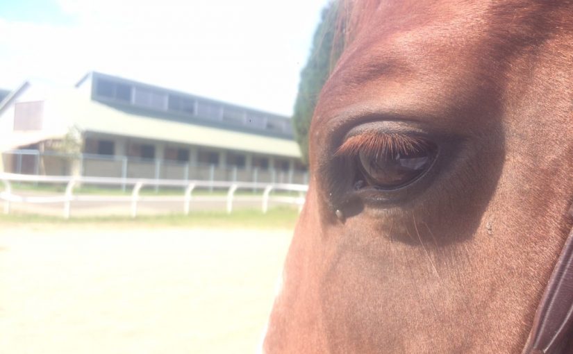 どう、見えてるのでしょう？？