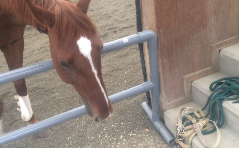 親心、子知らず。