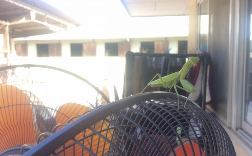 ば、バレた…！！