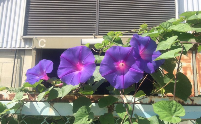 名残を惜しんで