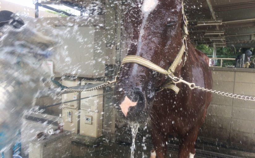 フロちゃん（フロンティア）のおフロ