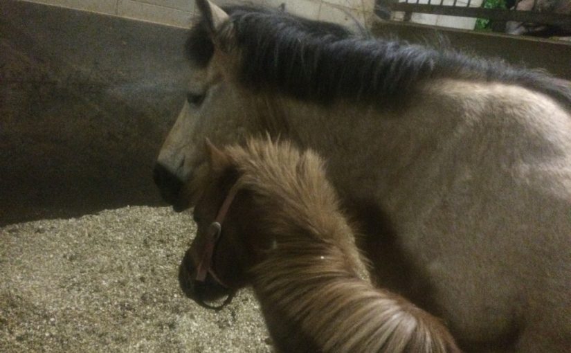 おなかが空いたんですけど…