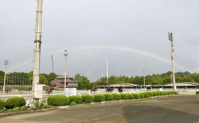 久しぶりの🌈