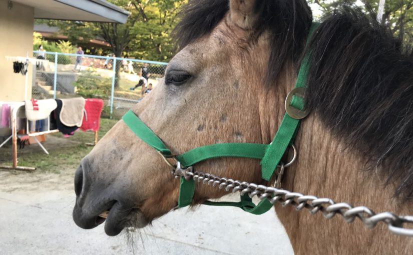 いい顔してる〜♪