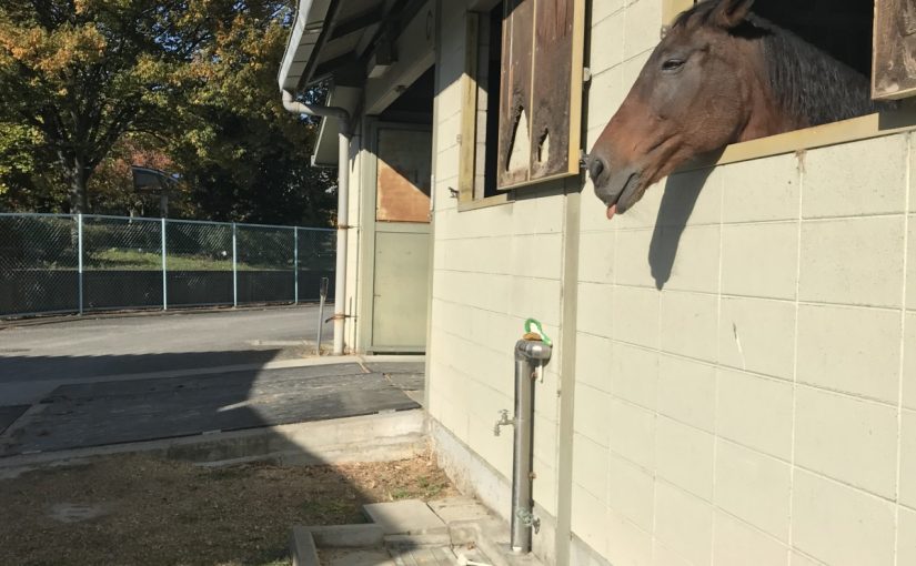 日向ぼっこ☀️