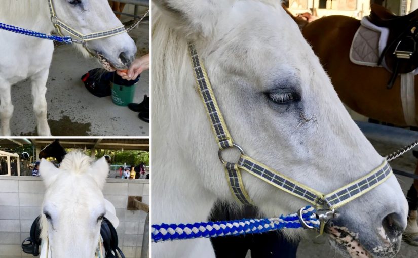 イケてるおばあちゃん…⁇