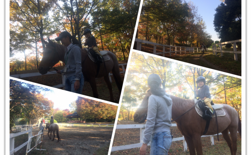 曳き馬デビュー♪