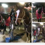 すっかり日が短くなりました