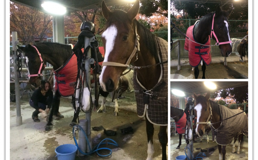 すっかり日が短くなりました