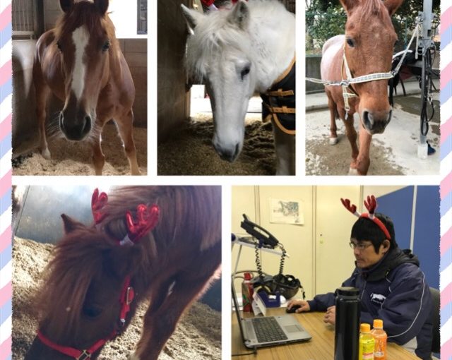 🎄Merry Christmas🎄