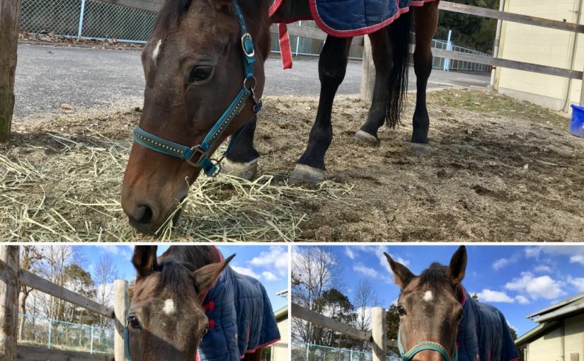のほほ〜ん☀️