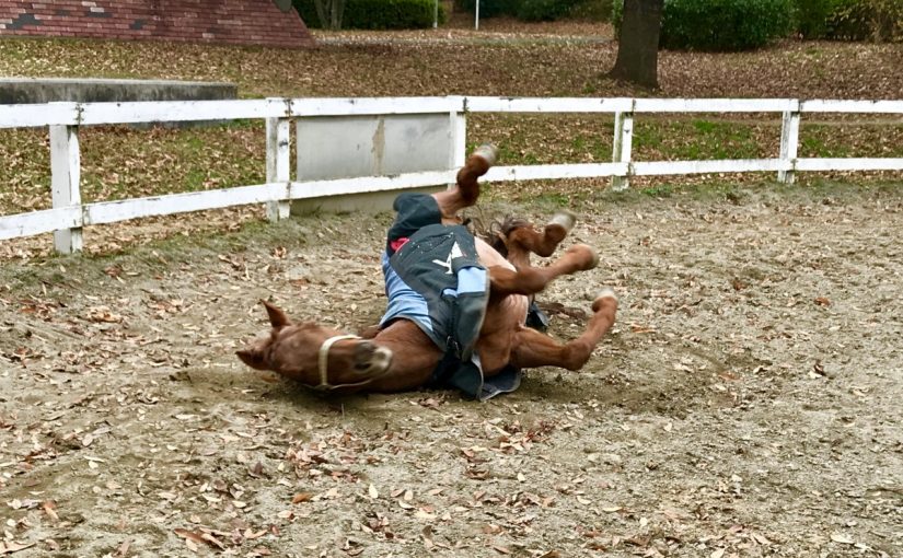 すってんころりん…⁉︎