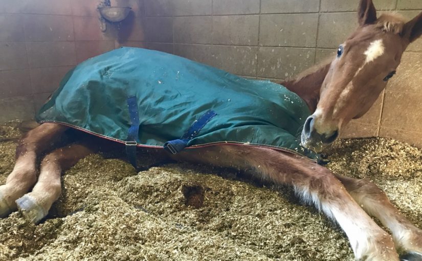 ごろ〜ん〜Part2〜