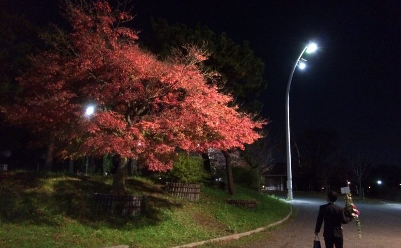 パーティの、その後。