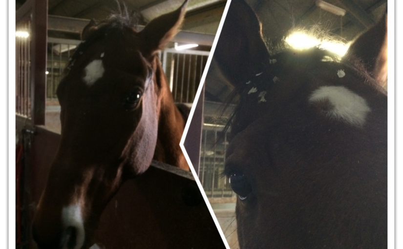 気持ちよかったので、つい…