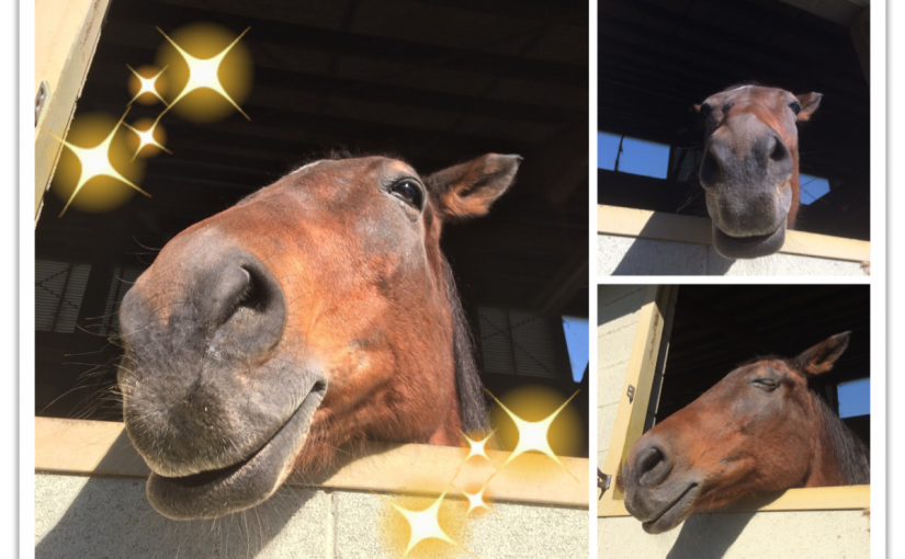 ラベンダーのスマイル(*^^*)