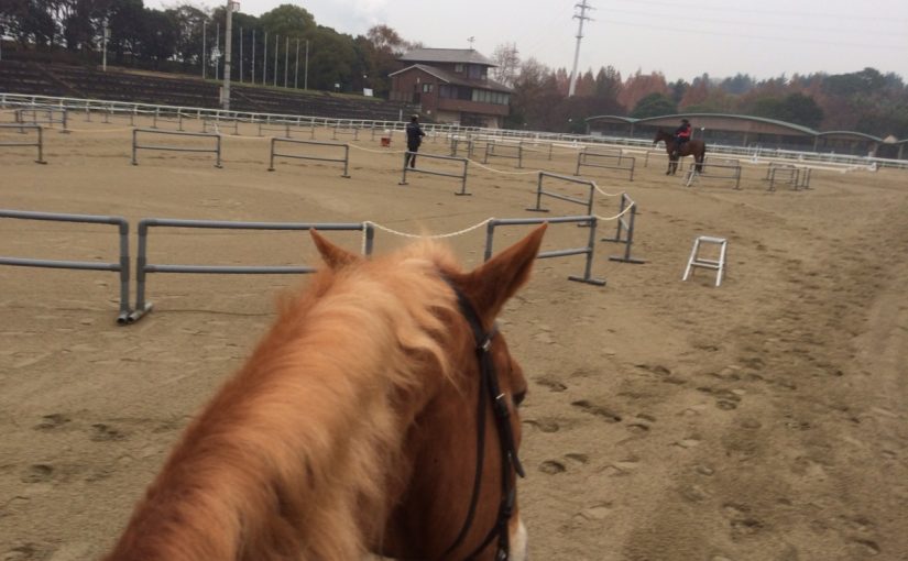 ライセンステスト