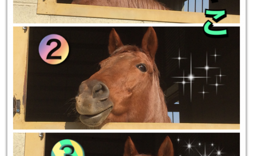 モナリザのほほえみ（笑）