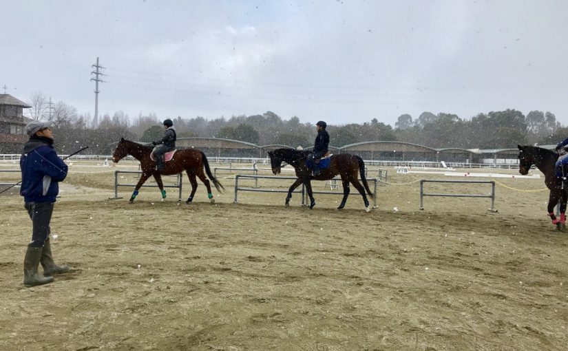 12B8131B-7FFB-44FD-9287-81CDACD36977