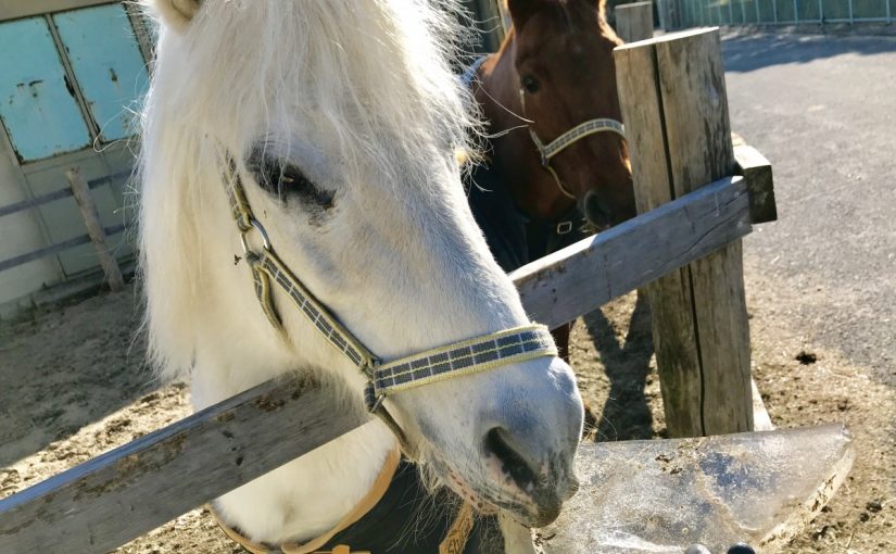 92BFD9F8-FD1B-4BBE-B07D-60110D7A38A0