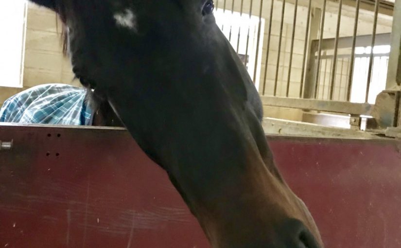 9BB42730-16D1-483D-9EDF-A873575E4E51