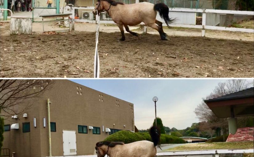 BC003FC4-2D5A-415A-9FAC-B51C6F04A3B5