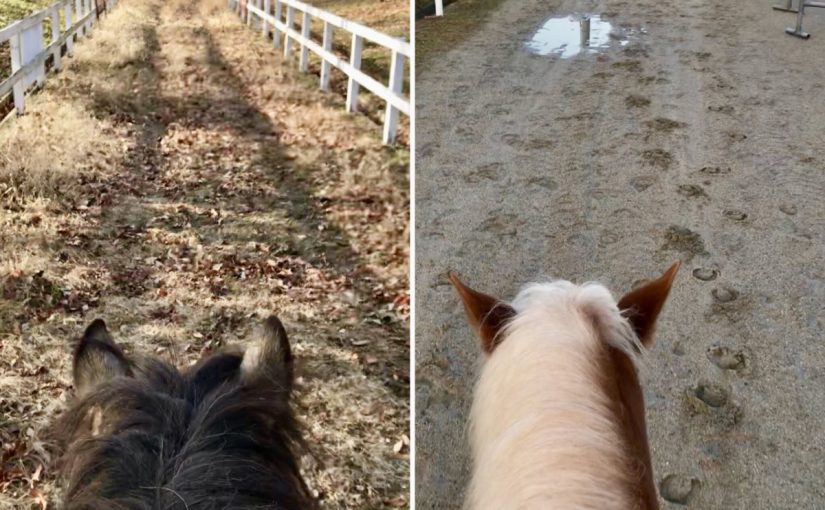 C34CC353-F7C0-4AD7-826F-BB3F2484DCC5