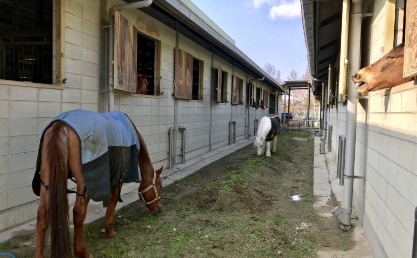 D707D1D5-7DF0-484D-9078-0944294705B1