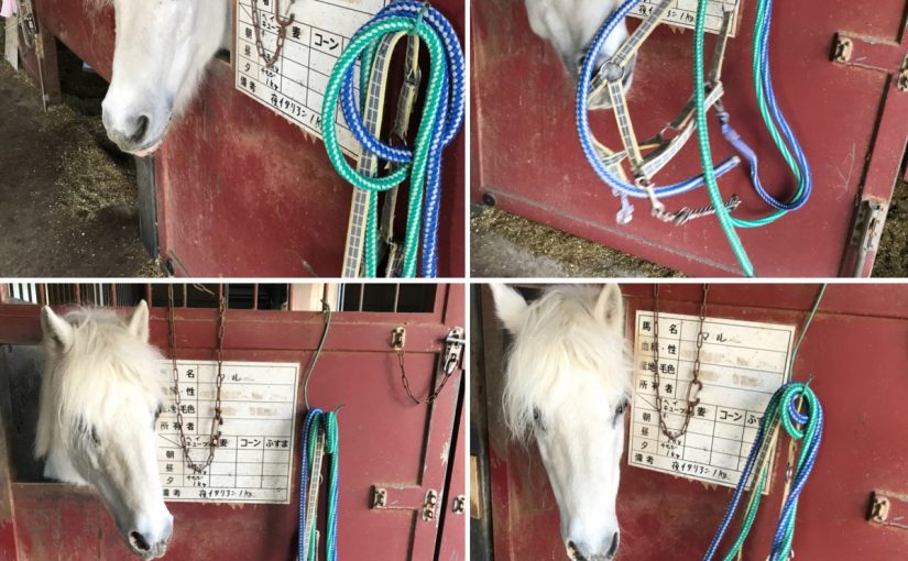 FE84F2F1-3183-490F-A487-CF0C89A48164