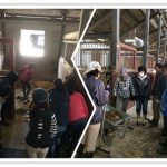 馬房掃除講習会