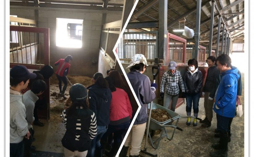 馬房掃除講習会