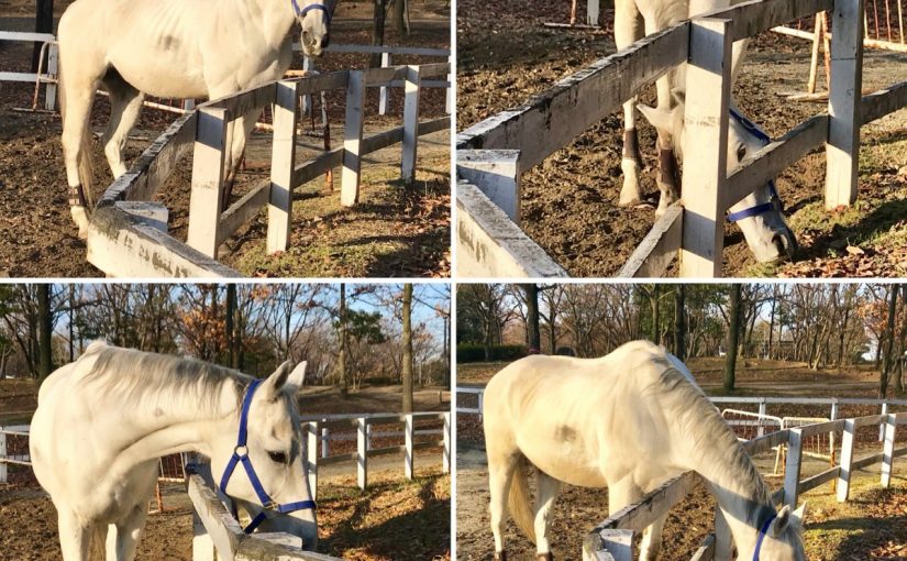 0286AF75-D1E6-49E7-8B00-FE2068A3E428