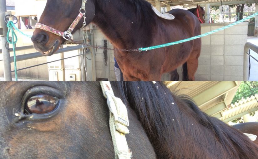 03D35F85-7DBE-4716-AEED-42CE63019DF8