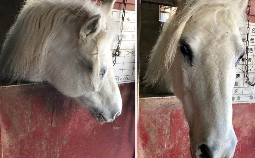 前髪が…👀💕