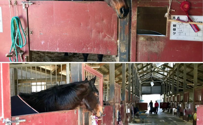 F9B28F75-CFCE-4589-8A80-B5A118B1E345