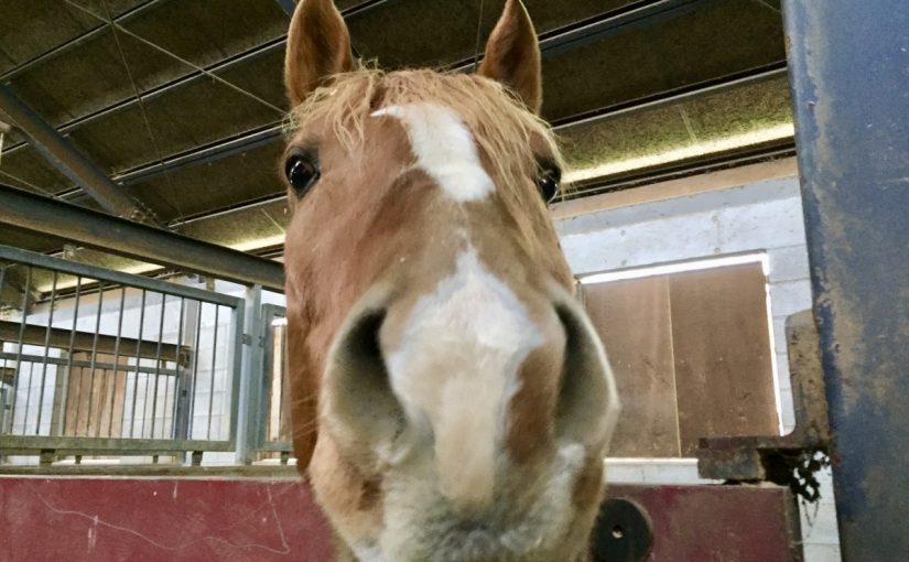 FFB0E0F6-652F-4747-AC76-CCE90AF879A4